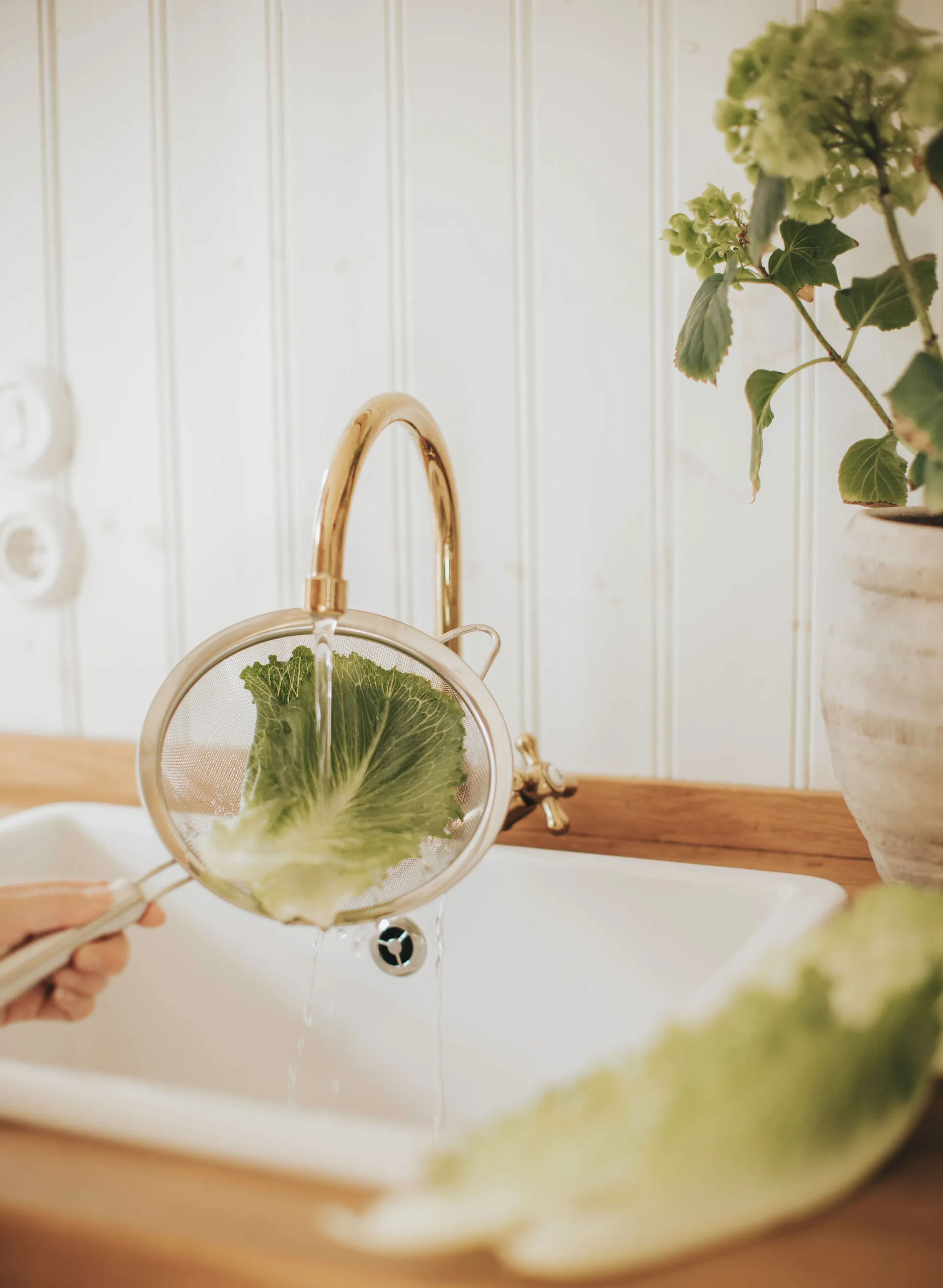 피아 거름망 Ø20 cm, Stainless steel Dorre | 도레