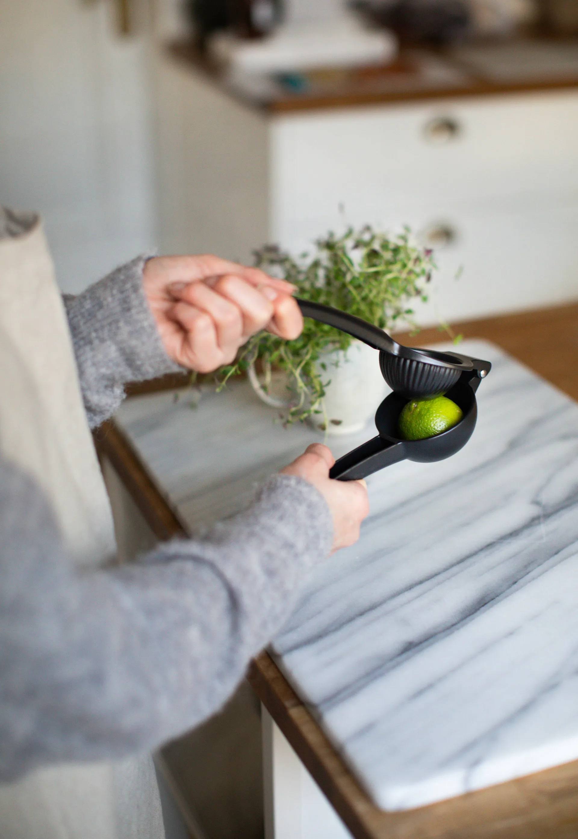 사이라 시트러스 프레스 알루미늄, Black Dorre | 도레