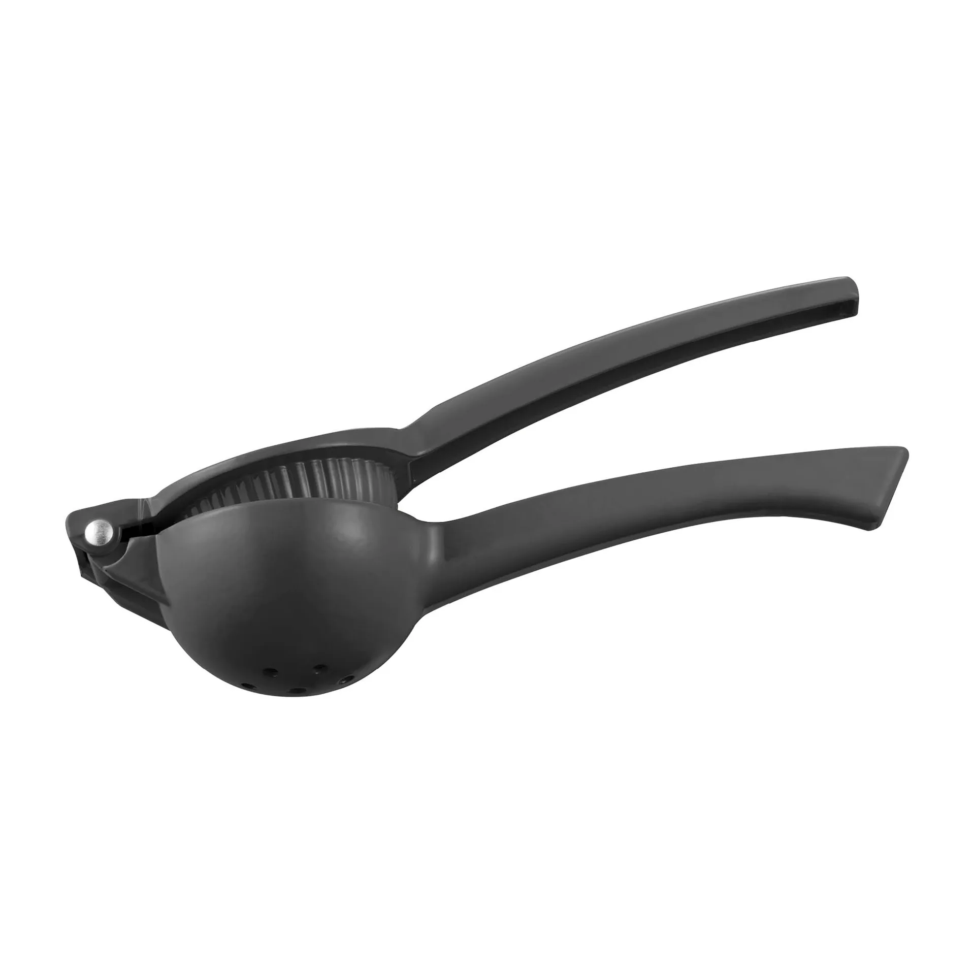 사이라 시트러스 프레스 알루미늄, Black Dorre | 도레