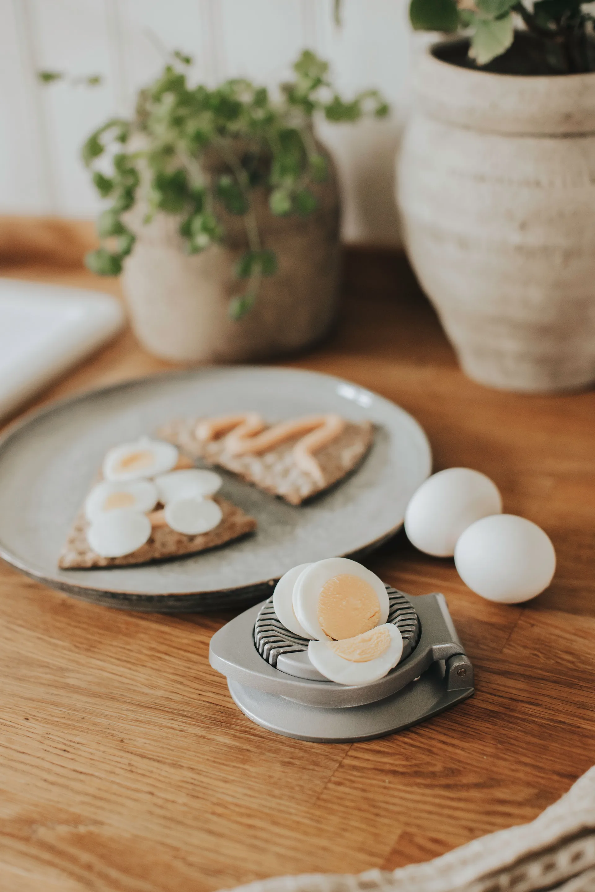 Ellis 에그 슬라이서, Aluminium Dorre | 도레