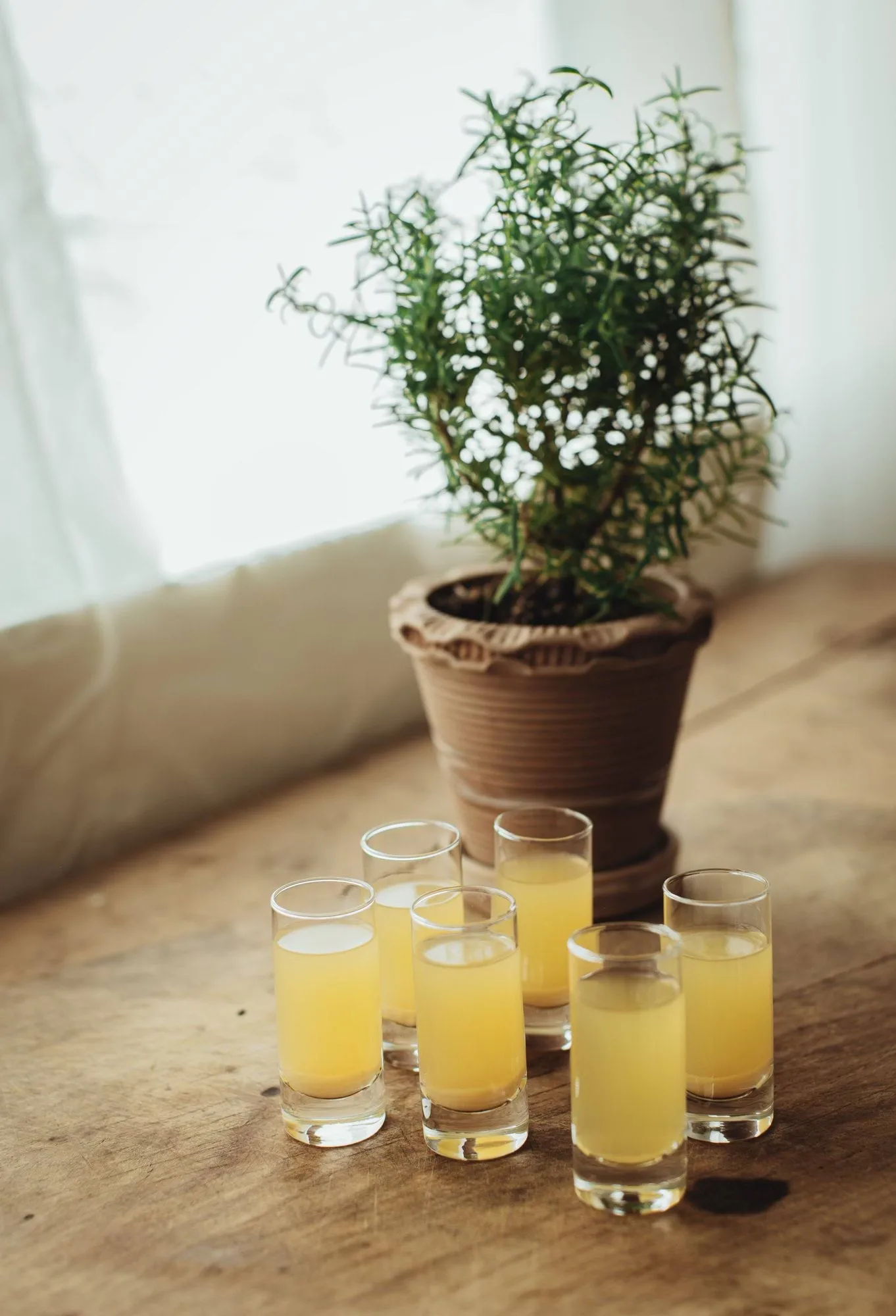 Saba 스냅스 글라스, 라커, 6개입, 6 cl Dorre | 도레