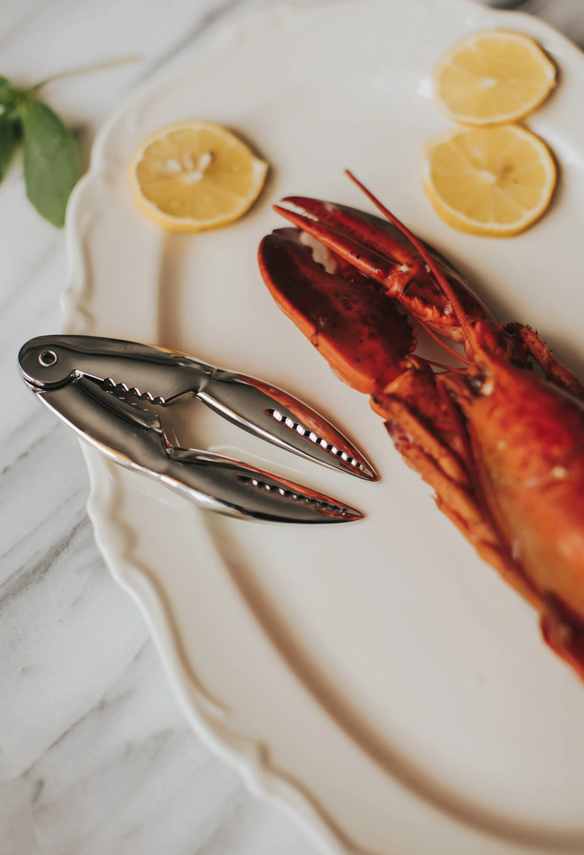Skai 해산물용 집게 13.5 cm, Silver Dorre | 도레