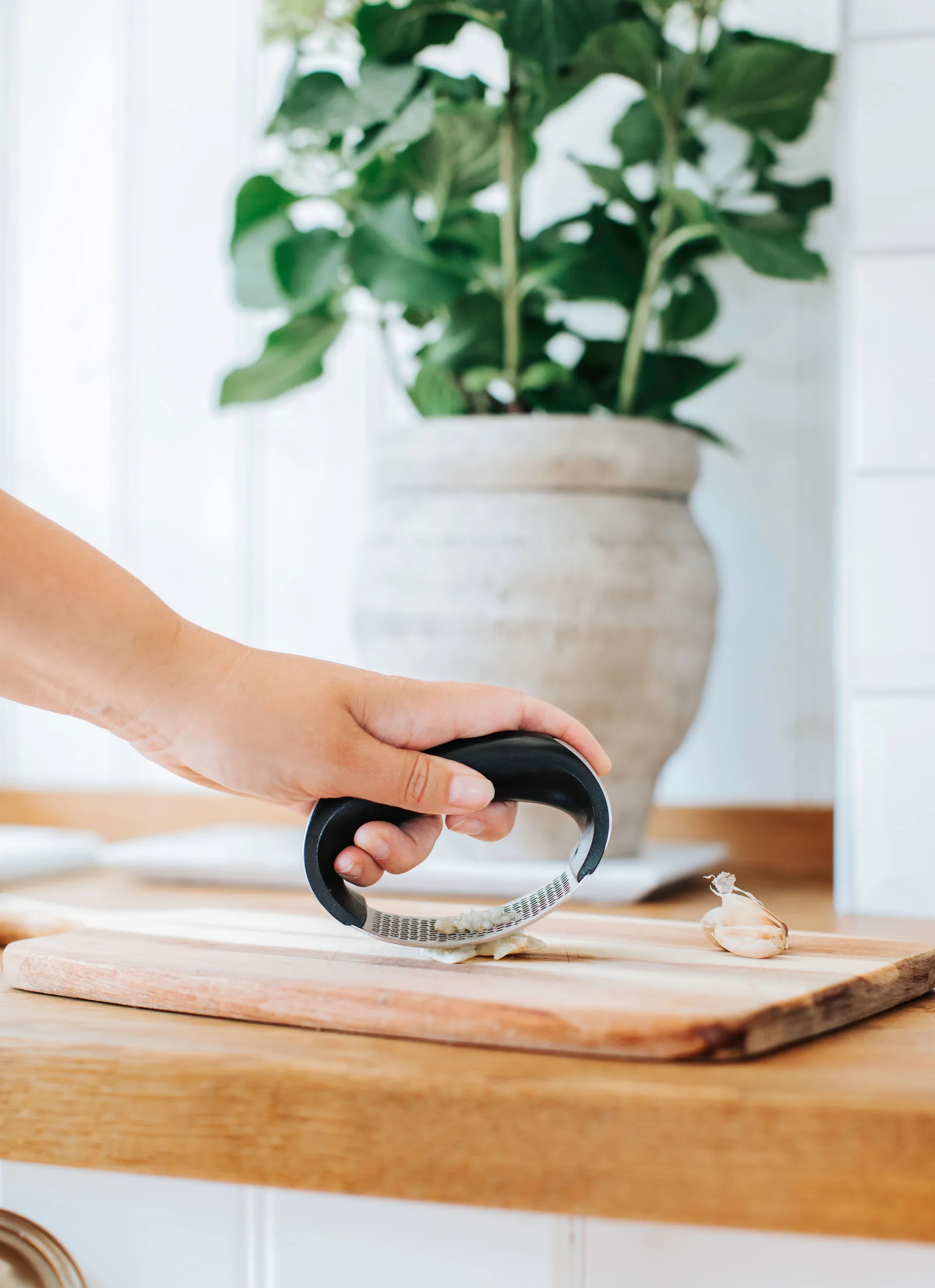 갈리 갈릭 프레스, Stainless steel Dorre | 도레