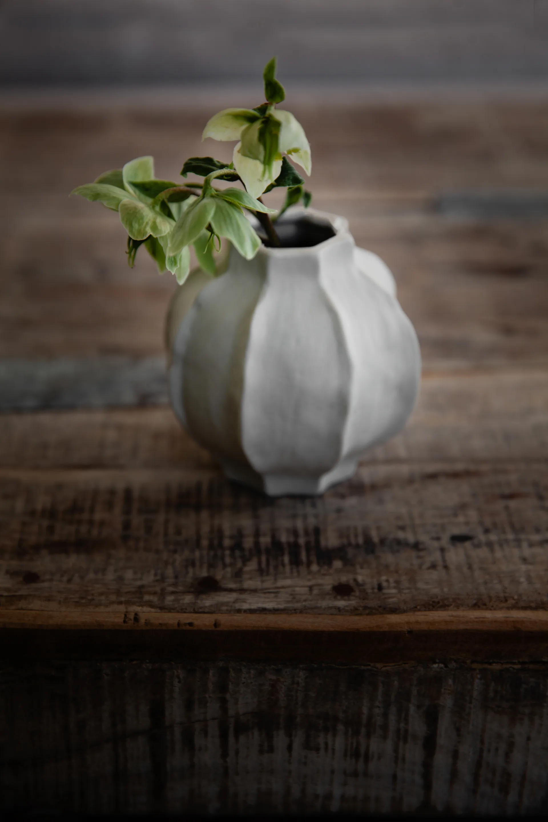 에른스트 화병 덴티드 스트라이프, 10 cm ERNST | 에른스트