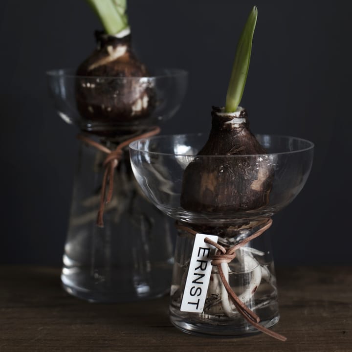 에른스트 히야신스 꽃병 11 cm, Clear ERNST | 에른스트