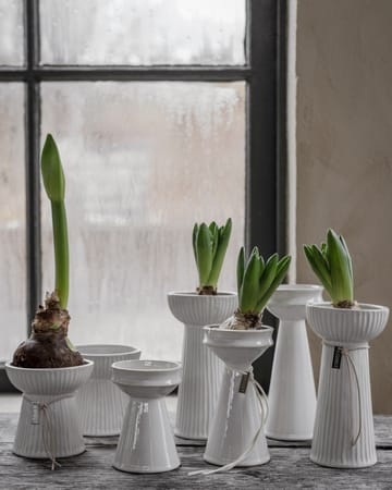 에�른스트 어니언 화병 12 cm - Natural white - ERNST | 에른스트
