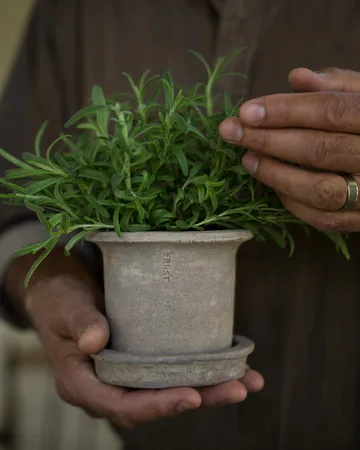 에른스트 테라코타 화분(받침 포함) - Ø12x10 cm - ERNST | 에른스트