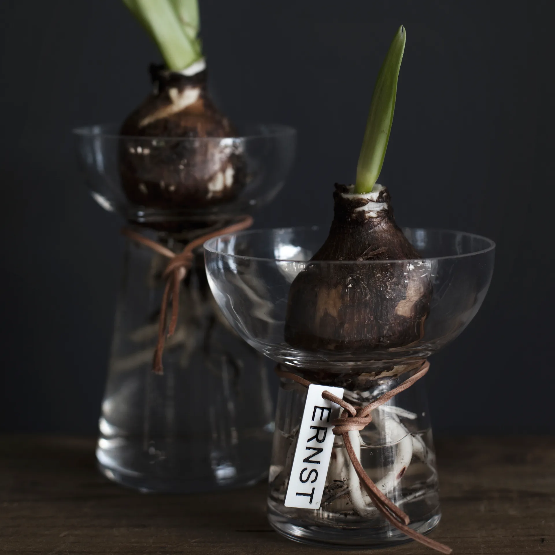 에른스트 히야신스 꽃병 15 cm, Clear ERNST | 에른스트