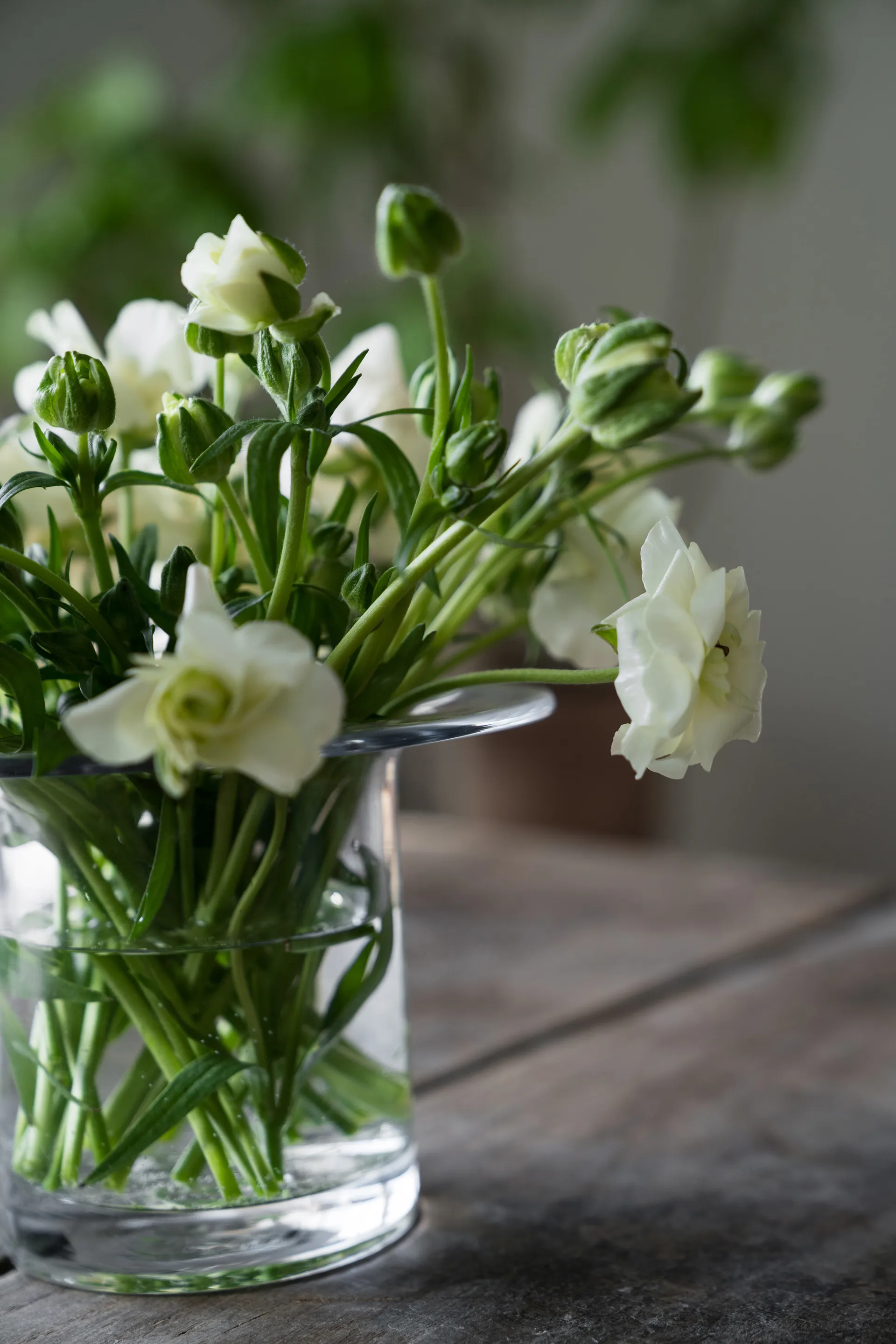 에른스트 글라스 화병 Ø17 cm, H 13 cm ERNST | 에른스트