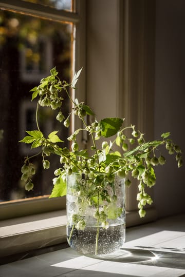 에른스트 꽃병 거품 유리 18cm - Clear - ERNST | 에른스트
