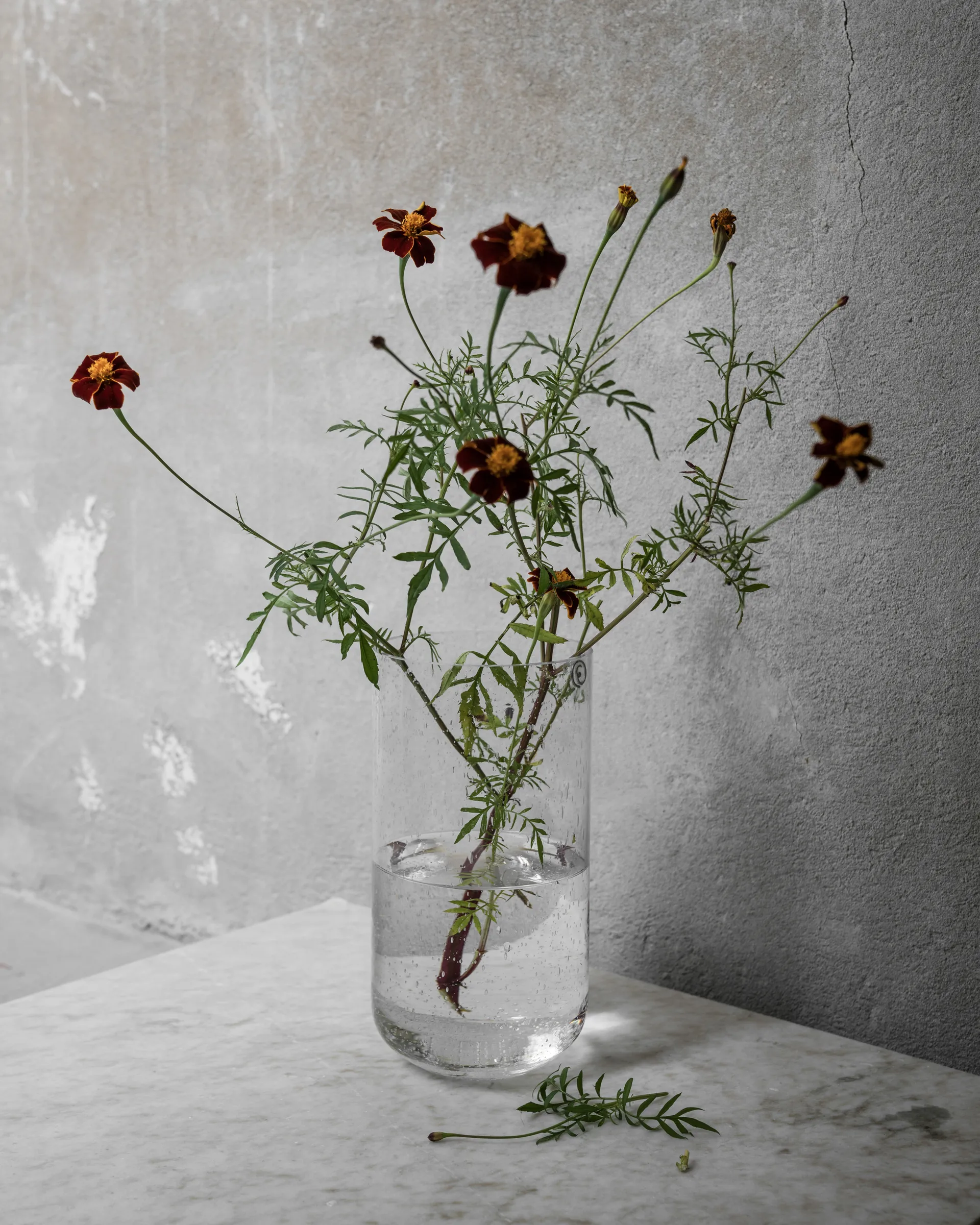 에른스트 꽃병 거품 유리 25cm, Clear ERNST | 에른스트