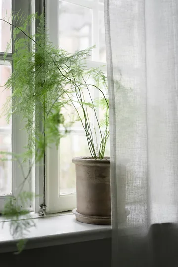 에른스트 테라코타 화분(받침 포함) - Ø25x28 cm - ERNST | 에른스트