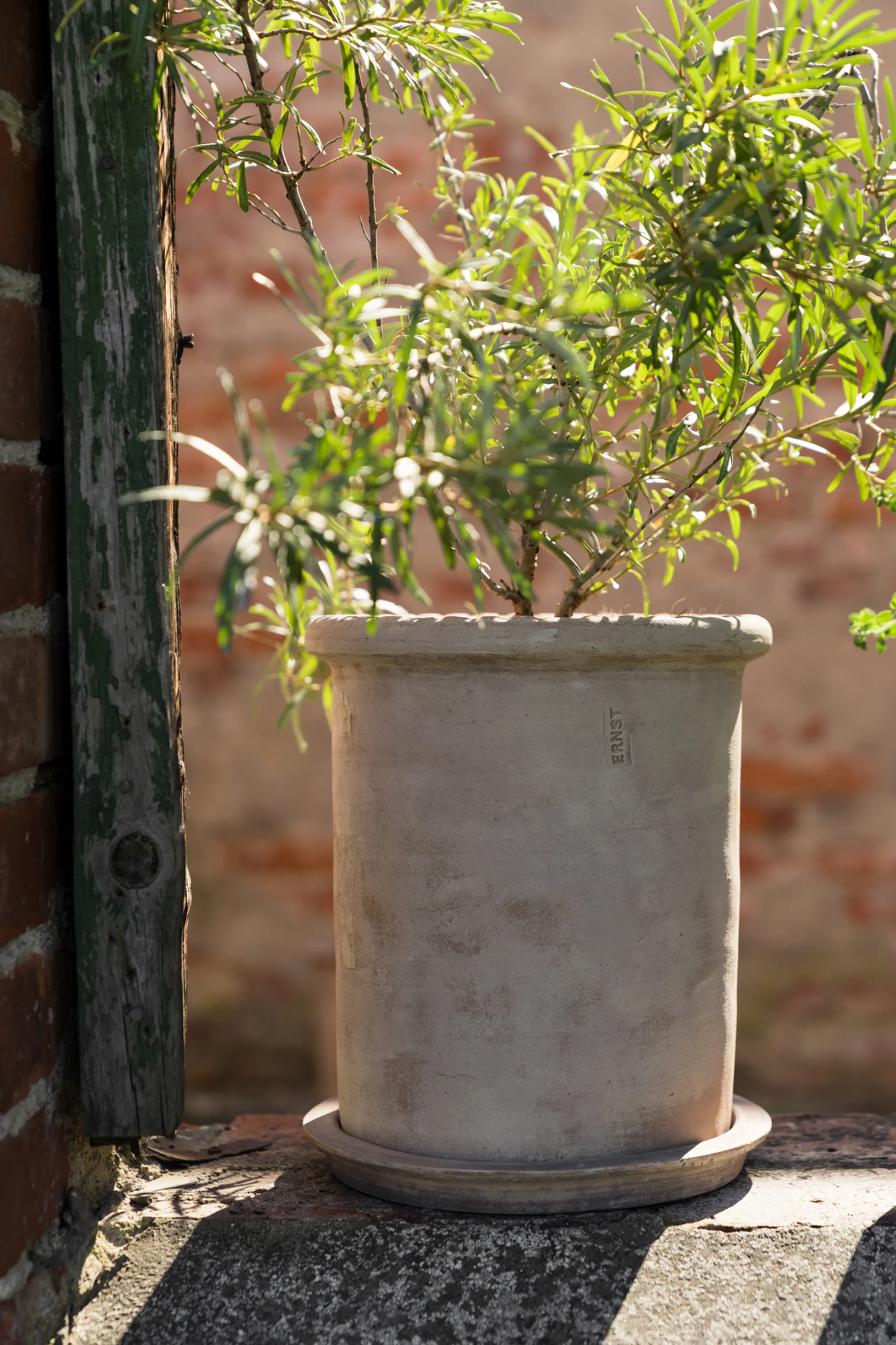 에른스트 테라코타 화분(받침 포함), Ø25x28 cm ERNST | 에른스트