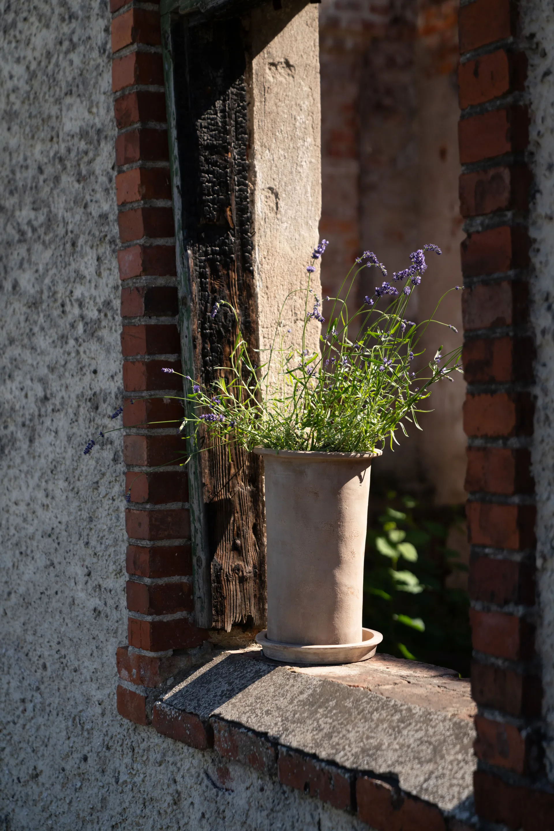 에른스트 테라코타 화분(받침 포함), Ø25x35 cm ERNST | 에른스트