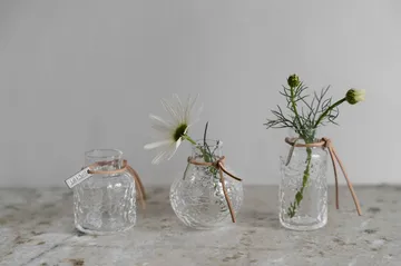 에른스트 패턴드 화병 기프트 세트 3개 세트 - Clear - ERNST | 에른스트