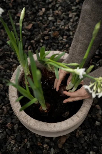 에른스트 테라코타 화분(받침 포함) - Ø33x12 cm - ERNST | 에른스트