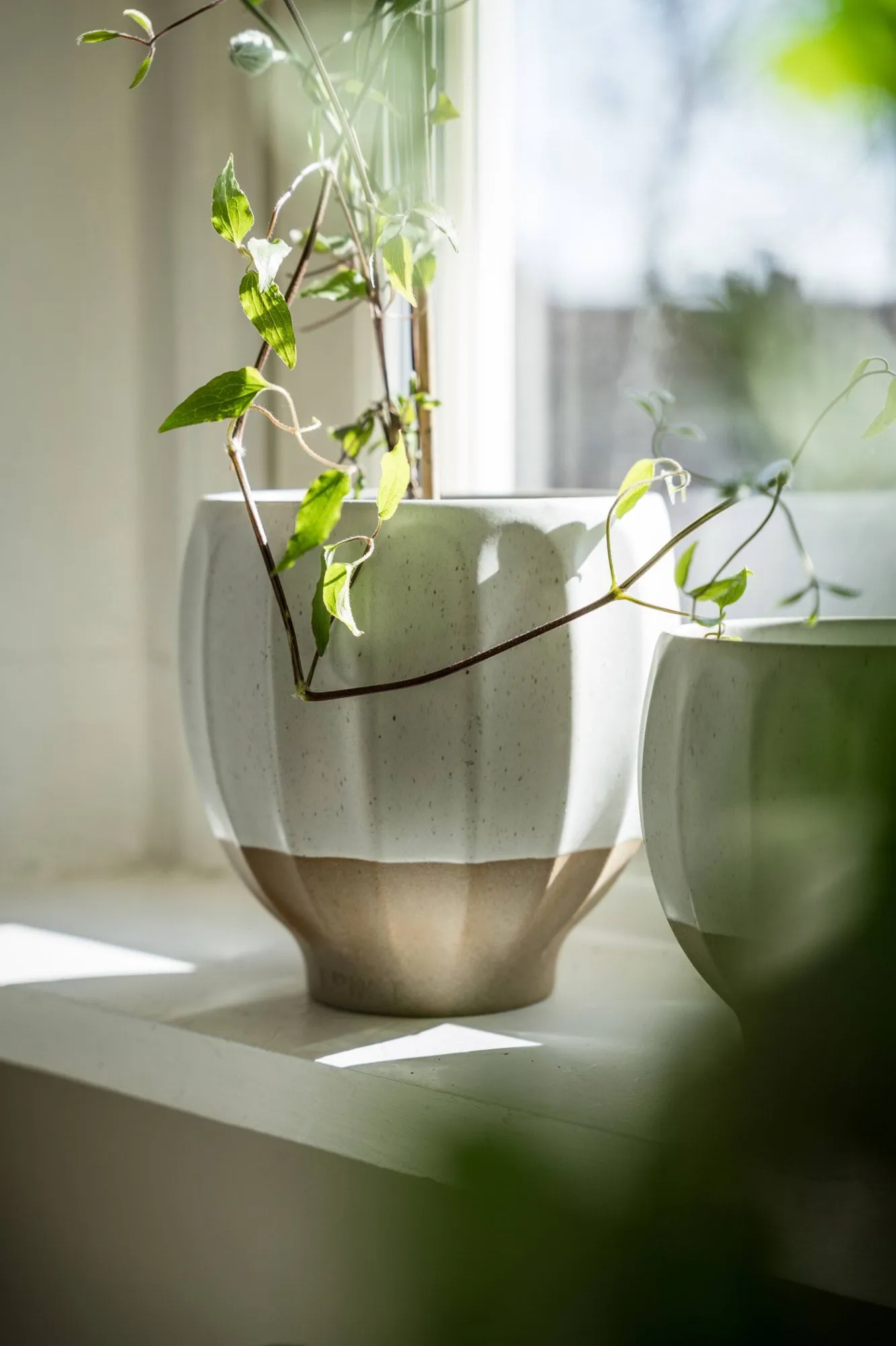 Ernst 화분, White-natural, Ø18x18 cm ERNST | 에른스트