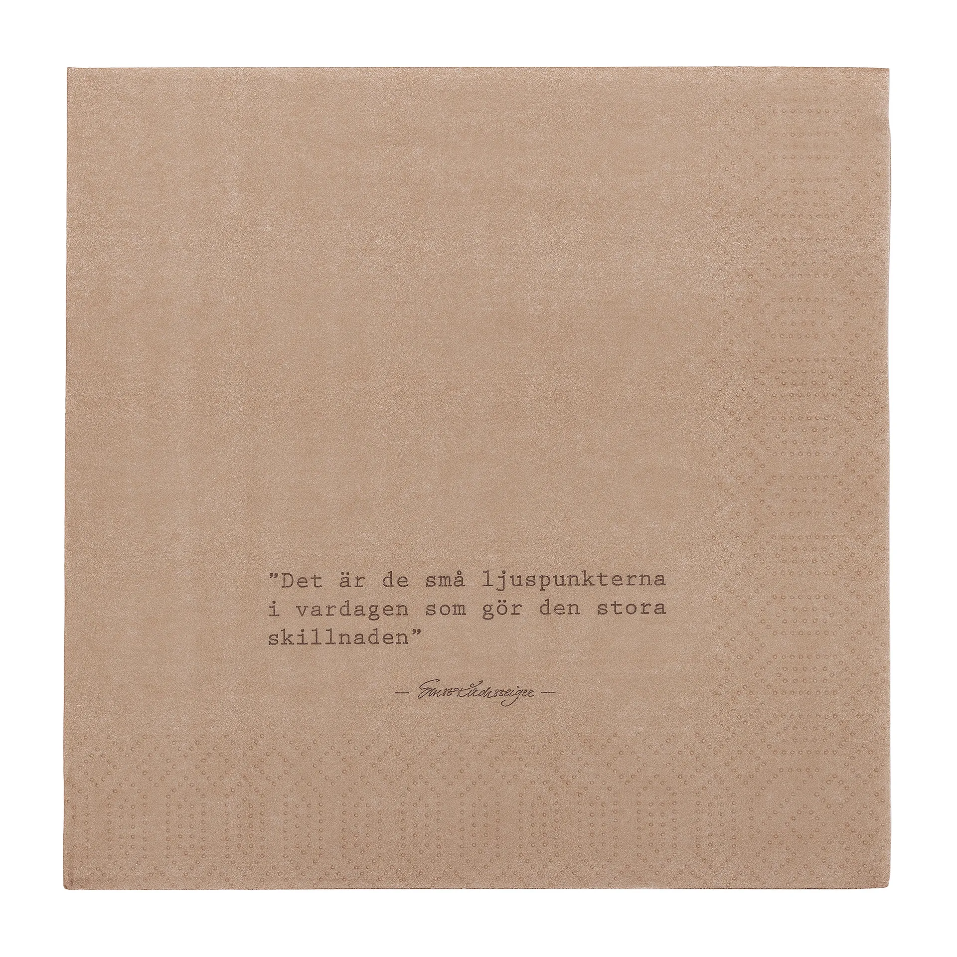 에른스트 명언 냅킨 spotlights 20개 세트, Nutmeg ERNST | 에른스트