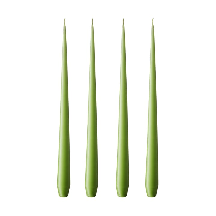 ester & erik 라이트 4개 세트 매트 - apple bite, 32 cm - Ester & erik | 에스터 & 에릭