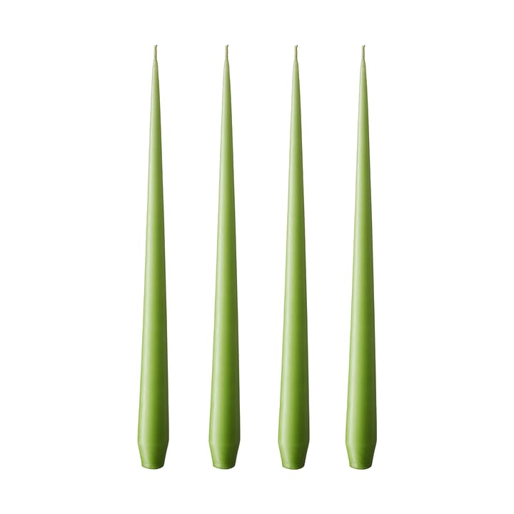 ester & erik 라이트 4개 세트 매트 - apple bite, 42 cm - Ester & erik | 에스터 & 에릭
