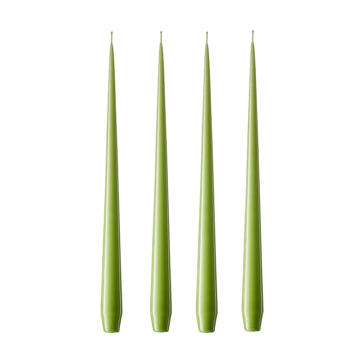 ester & erik 라이트 4개 세트 래커드 - apple bite, 42 cm - Ester & erik | 에스터 & 에릭