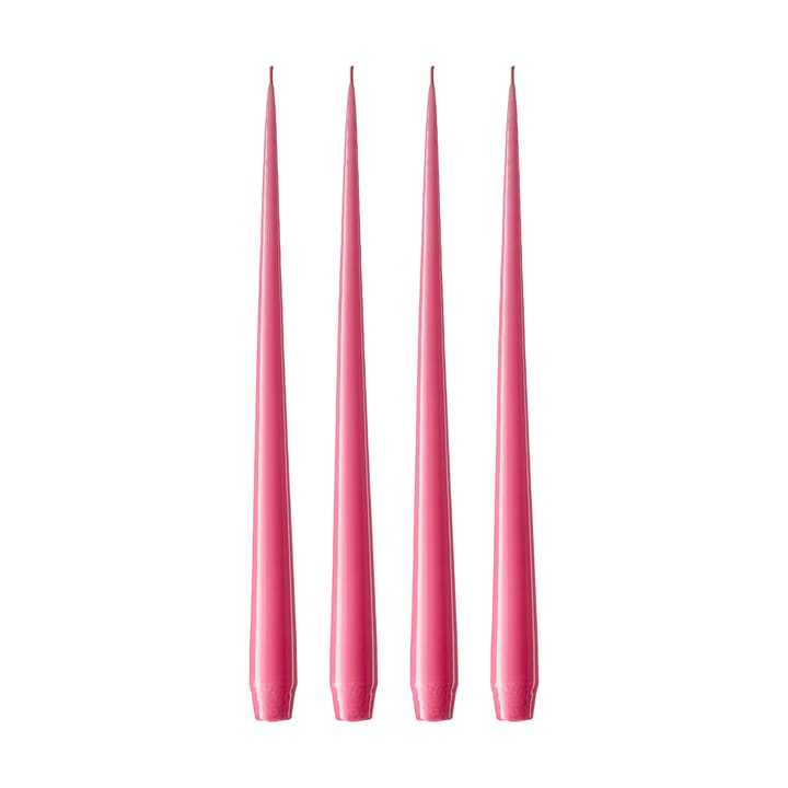 ester & erik 라이트 4개 세트 래커드 - Clear pink 41, 42 cm - Ester & erik | 에스터 & 에릭