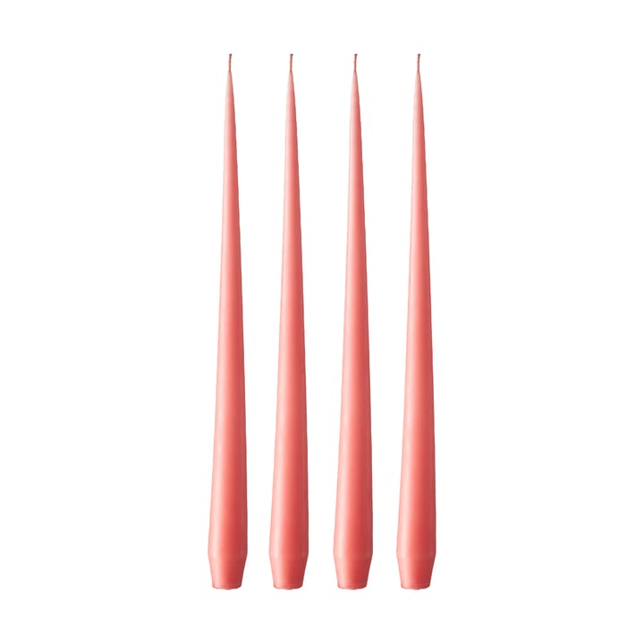 ester & erik 라이트 4개 세트 매트 - Coral reef 26, 42 cm - Ester & erik | 에스터 & 에릭
