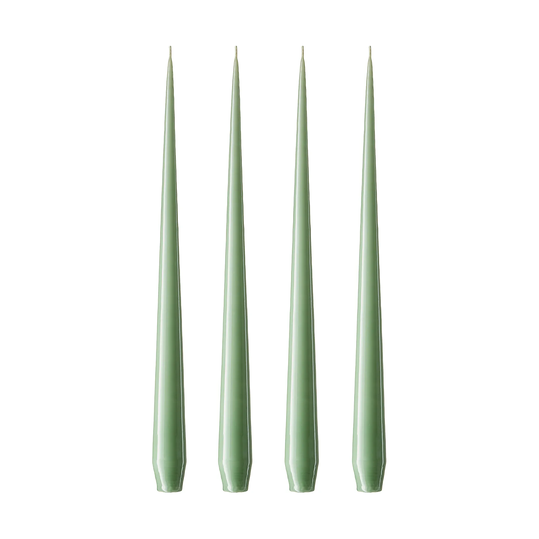 ester & erik 라이트 4개 세트 래커드, eucalyptus, 42 cm ester & erik | 에스터 & 에릭