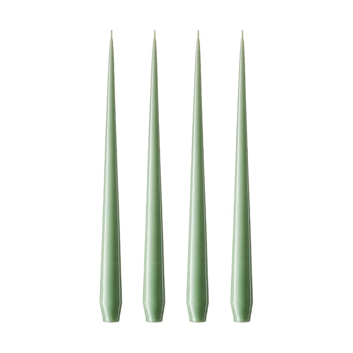 ester & erik 라이트 4개 세트 래커드 - eucalyptus, 42 cm - Ester & erik | 에스터 & 에릭
