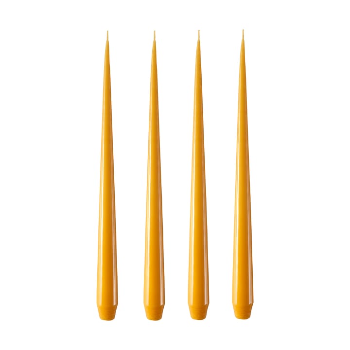 ester & erik 라이트 4개 세트 래커드 - honey balm, 32 cm - Ester & erik | 에스터 & 에릭