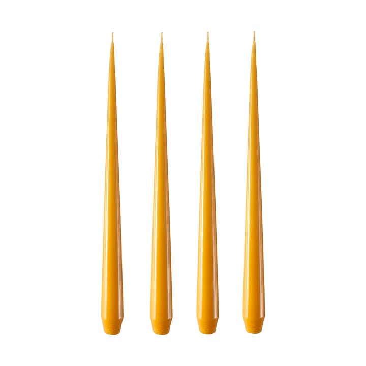 ester & erik 라이트 4개 세트 래커드 - honey balm, 42 cm - Ester & erik | 에스터 & 에릭