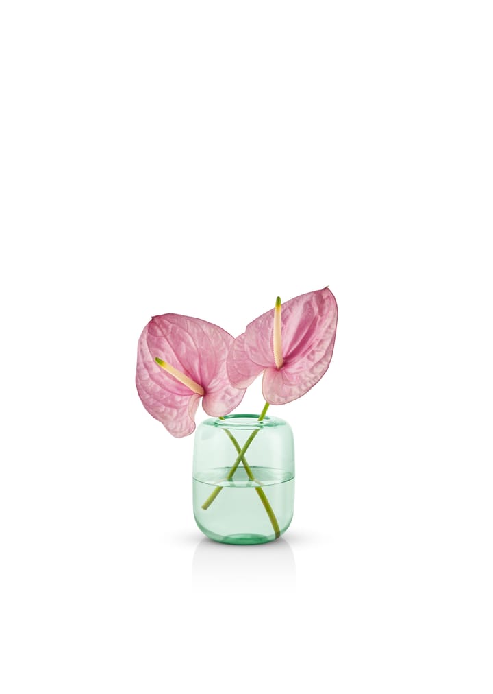 아콘 화병 16.5 cm - Mint green - Eva Solo | 에바솔로