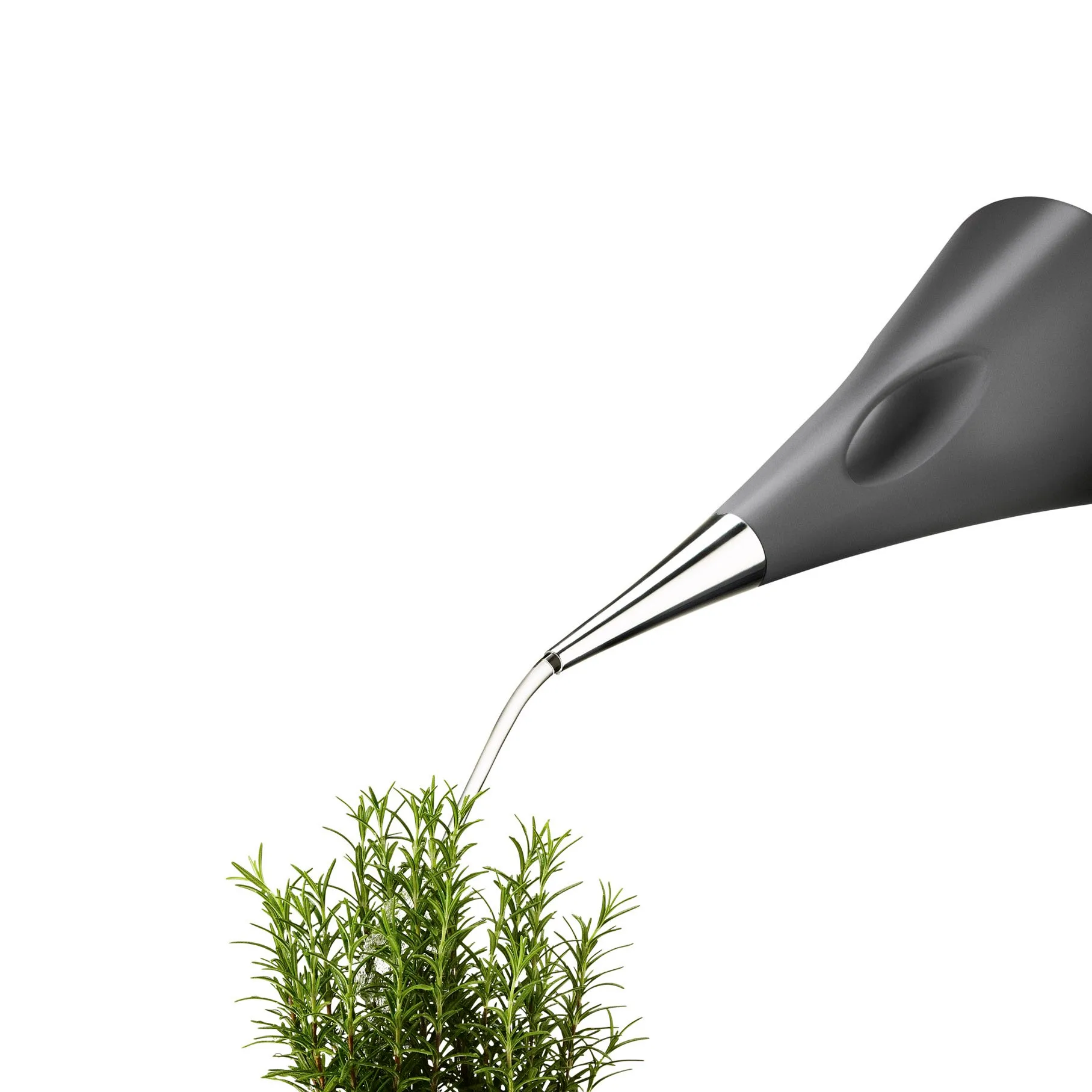 아쿠아스타 워터링 캔, grey Eva Solo | 에바솔로