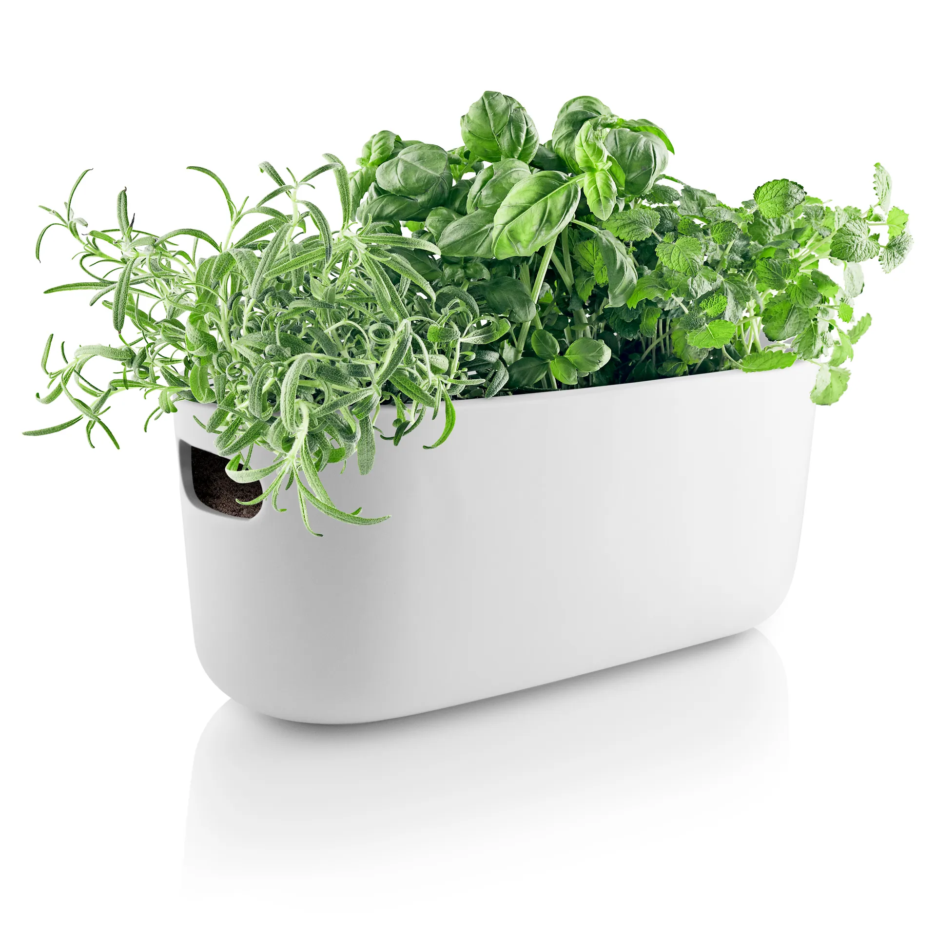 에바솔로 허브 오거나이저 자동 급수 화분, white Eva Solo | 에바솔로