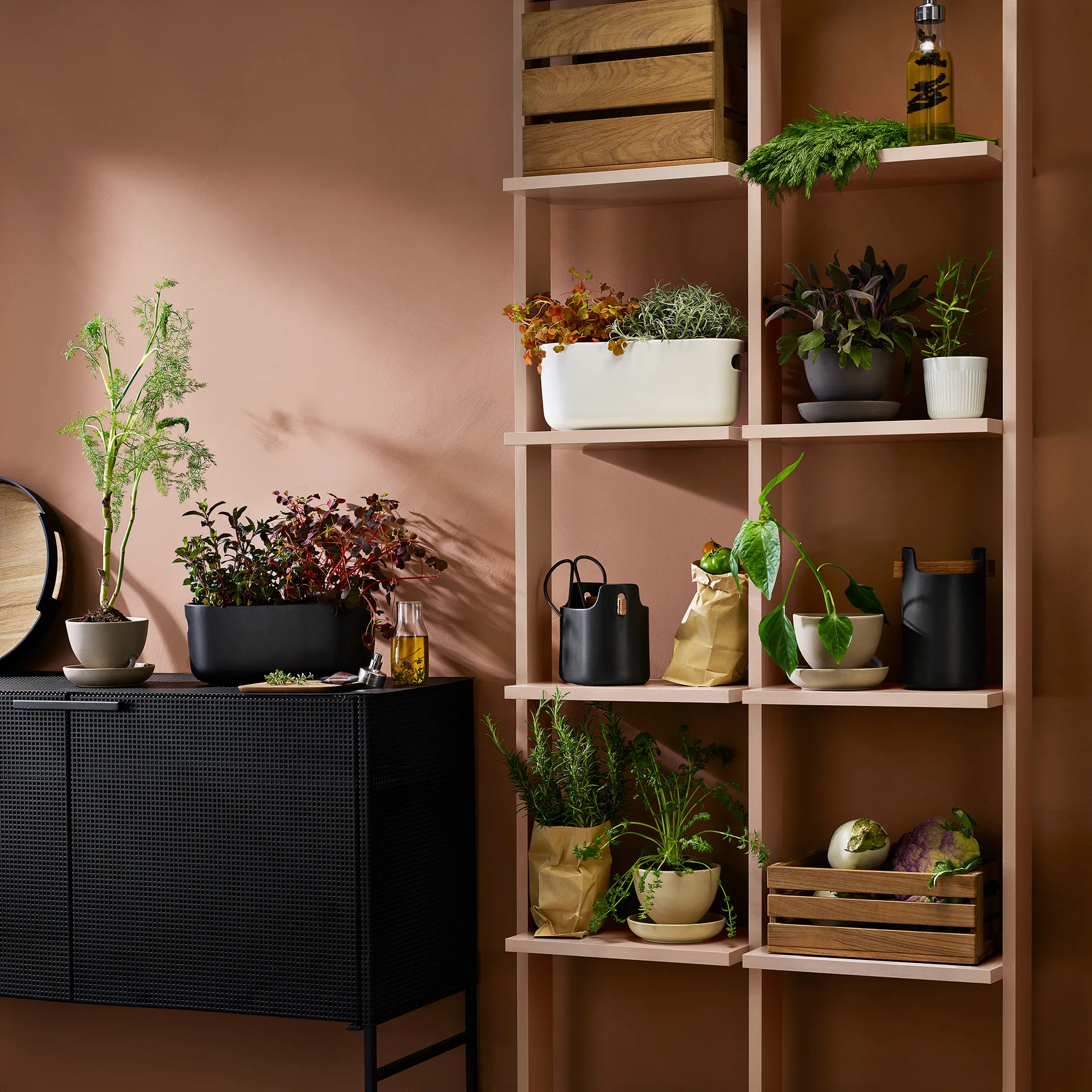 에바솔로 허브 오거나이저 자동 급수 화분, white Eva Solo | 에바솔로