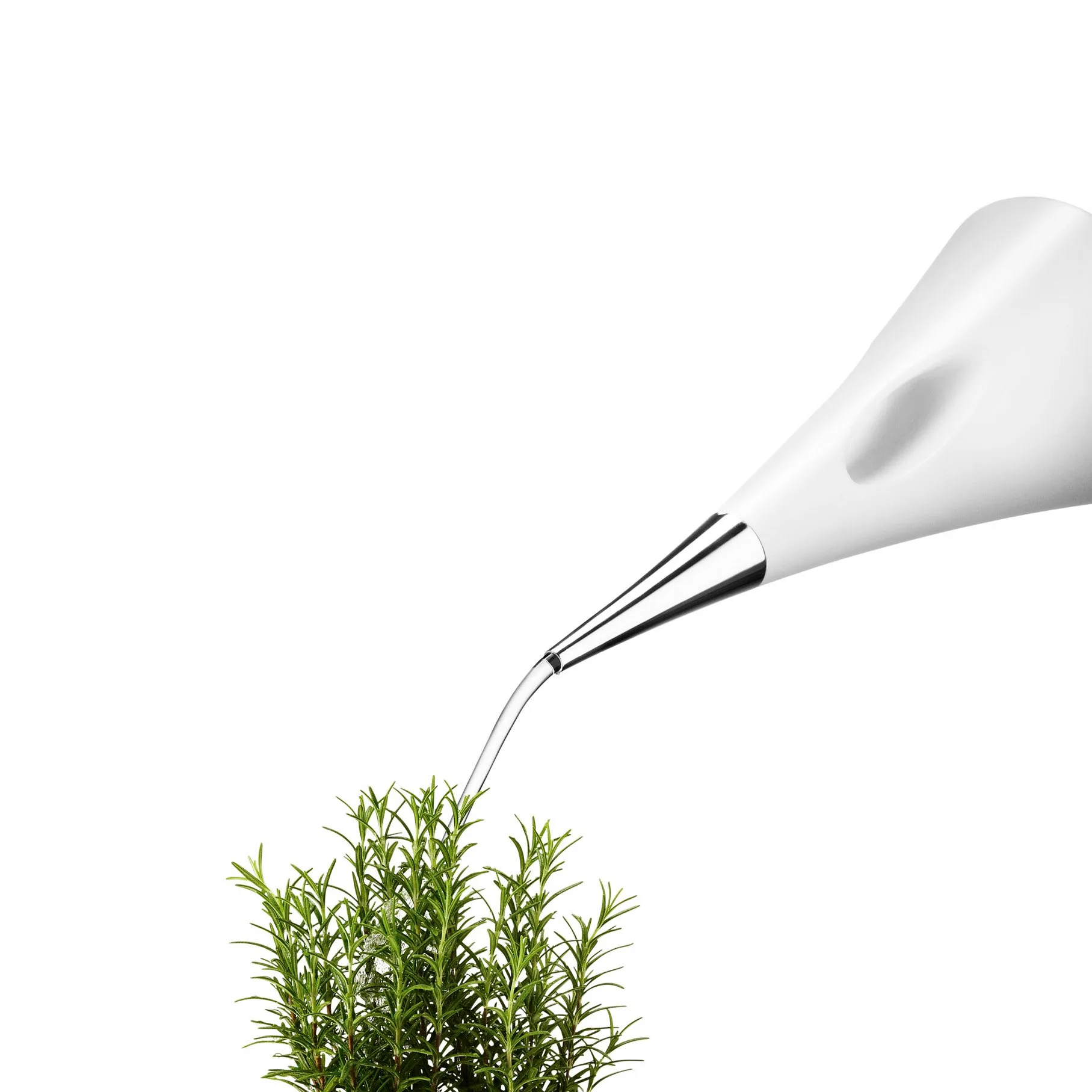 아쿠아스타 워터링 캔, white Eva Solo | 에바솔로