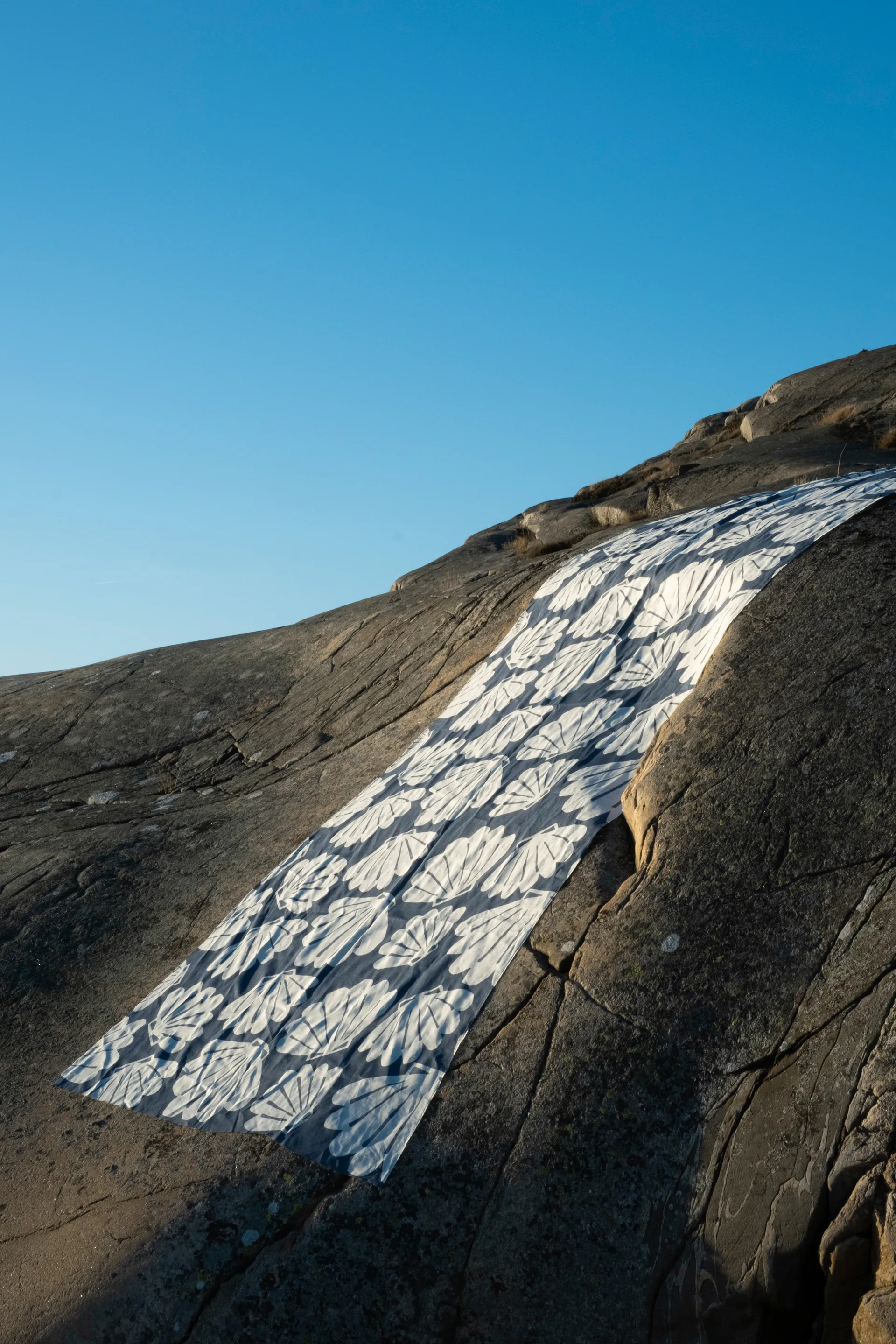 쉘 패브릭, Blue Fine Little Day | 파인리틀데이