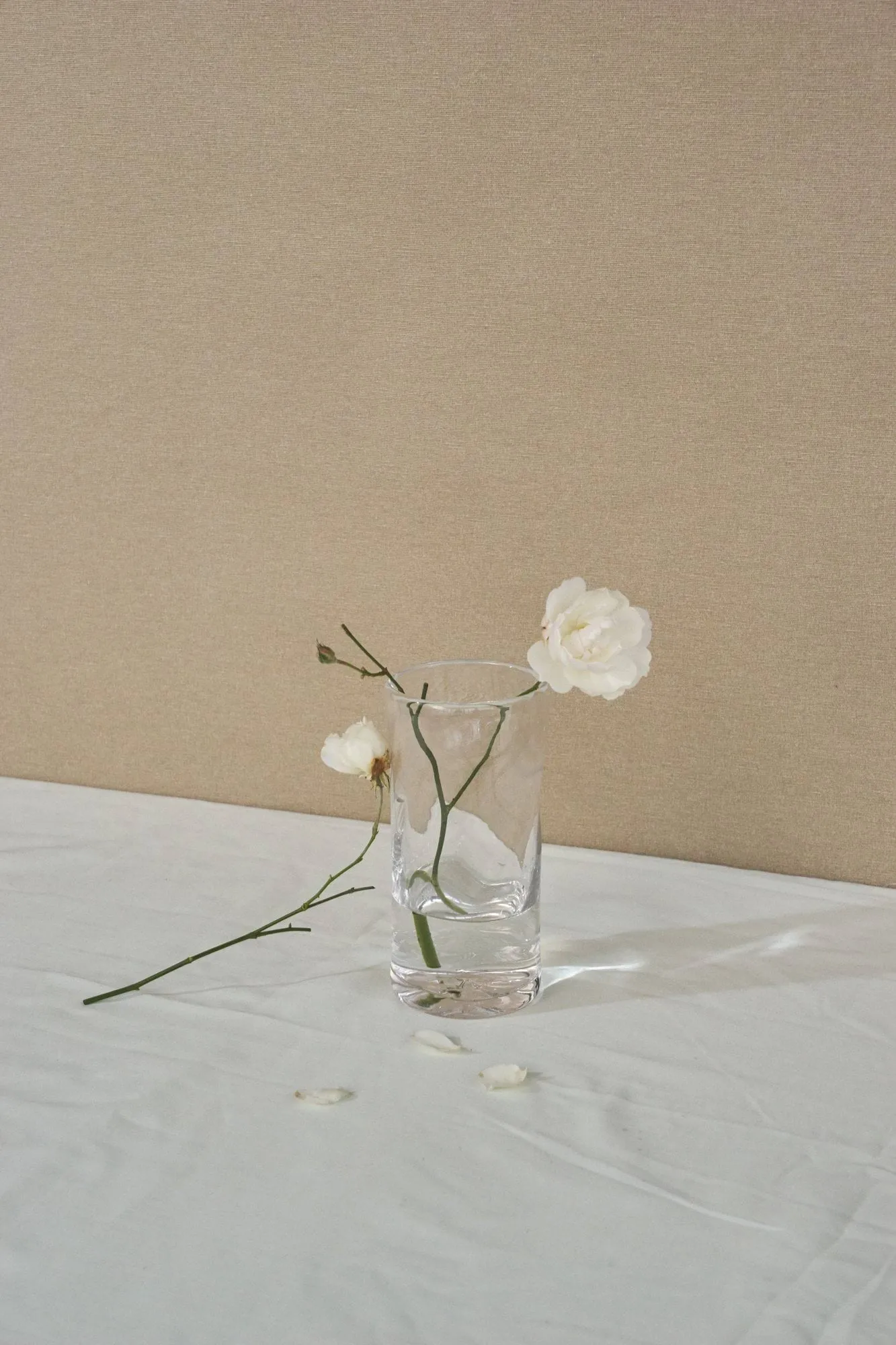 0405 화병, 클리어, Ø9,5x20 cm FRAMA