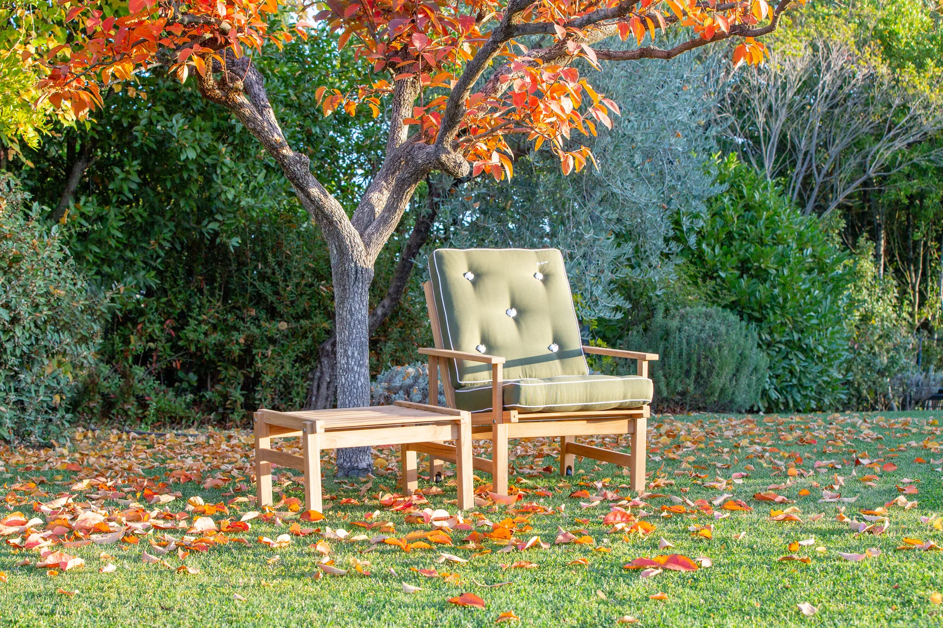 05 암체어, Teak Fri Form