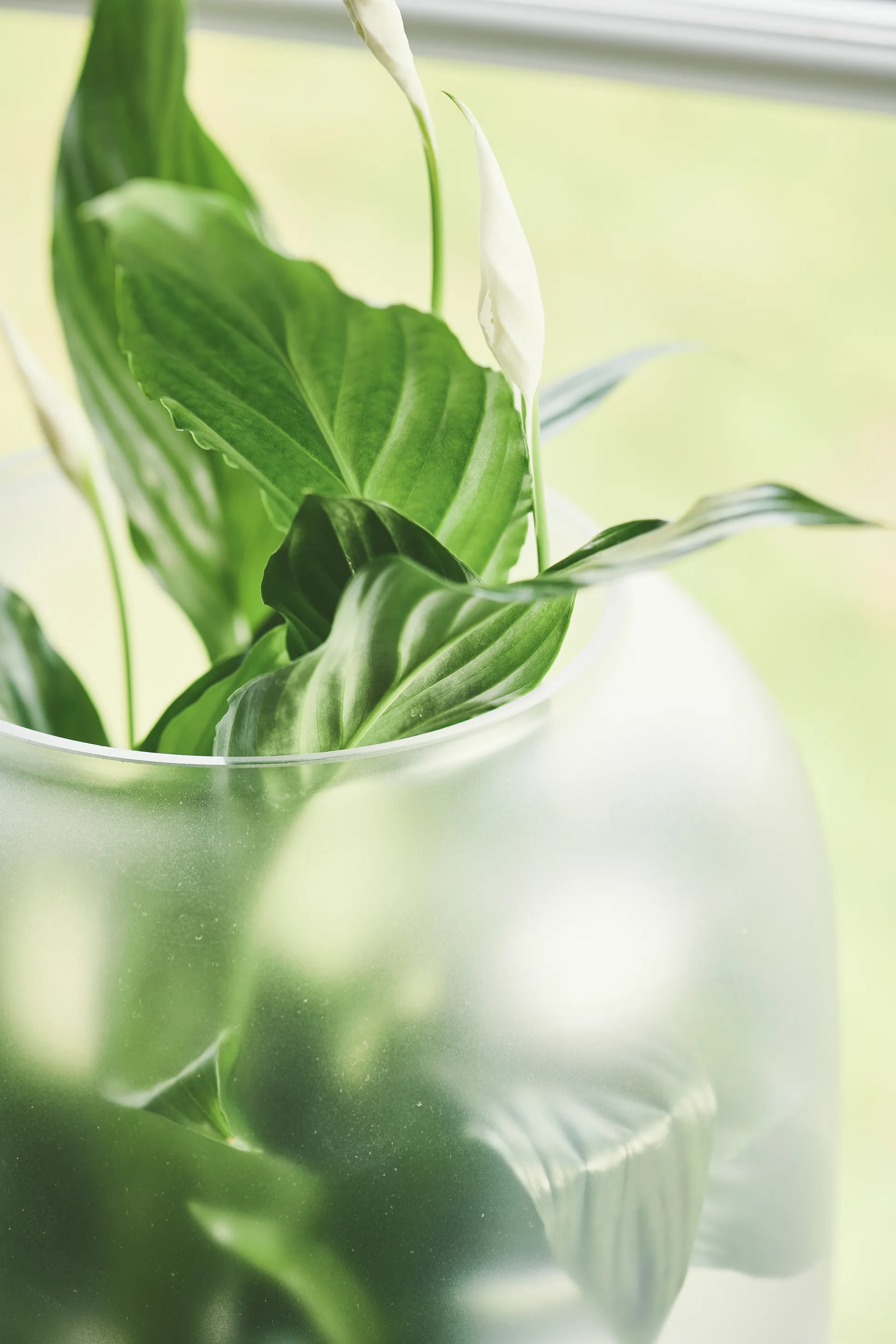 Nebl 플라워 팟 & 프로스티드 유리 Ø26 cm, Grey Gejst | 가이스트