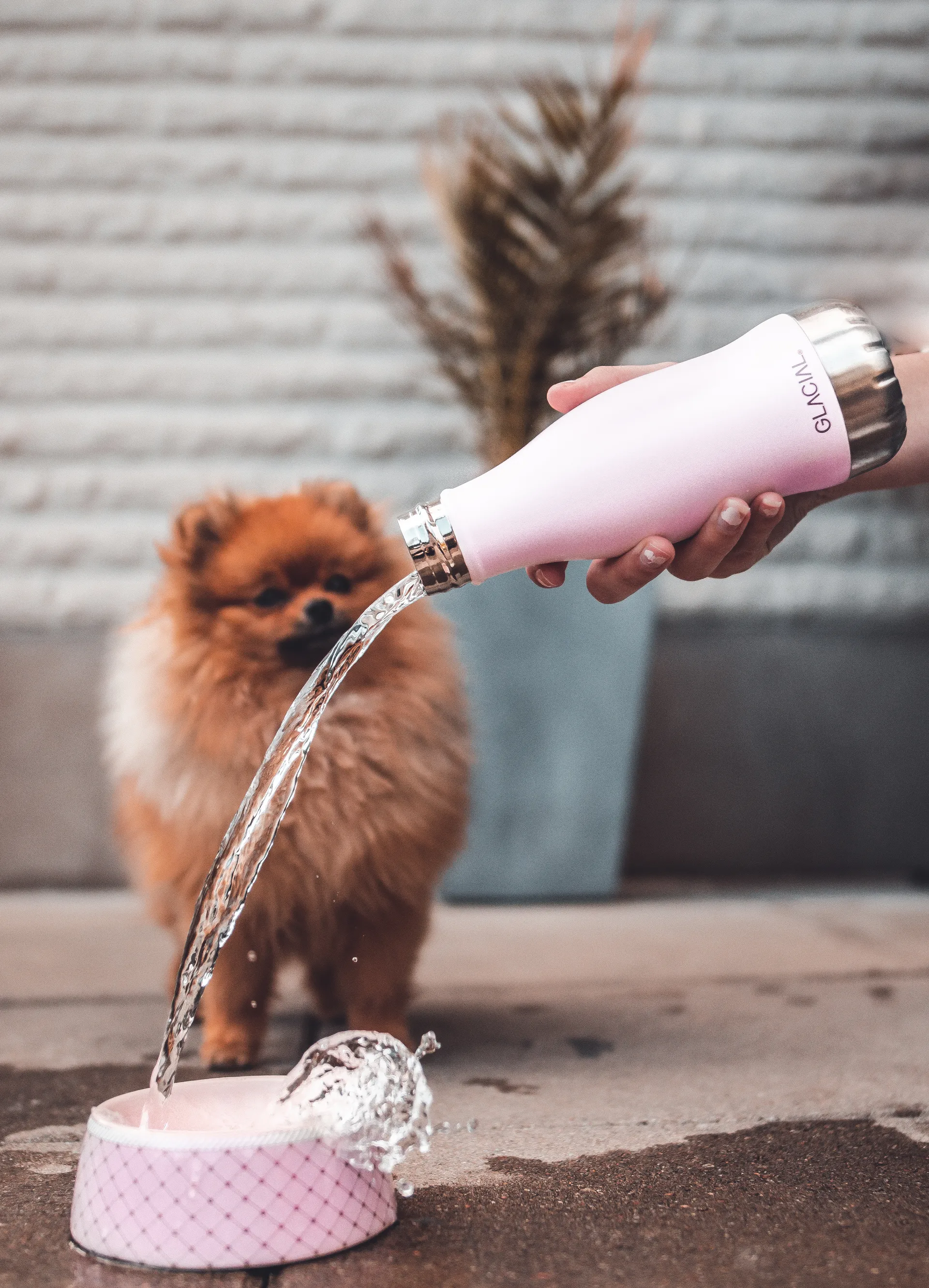 글레이셜 워터 보틀 280 ml, Matte pink powder Glacial | 글래이셔