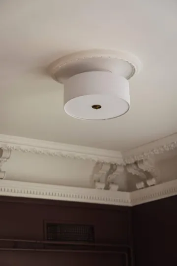 노아 35 천장 조명 - White - Globen Lighting | 글로벤라이팅