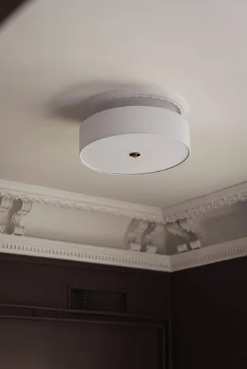 노아 50 천장 조명 - White - Globen Lighting | 글로벤라이팅