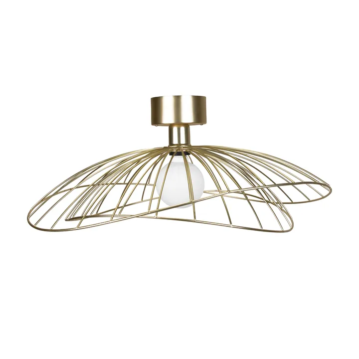 레이 벽/천장 조명 60 cm - brushed brass - Globen Lighting | 글로벤라이팅