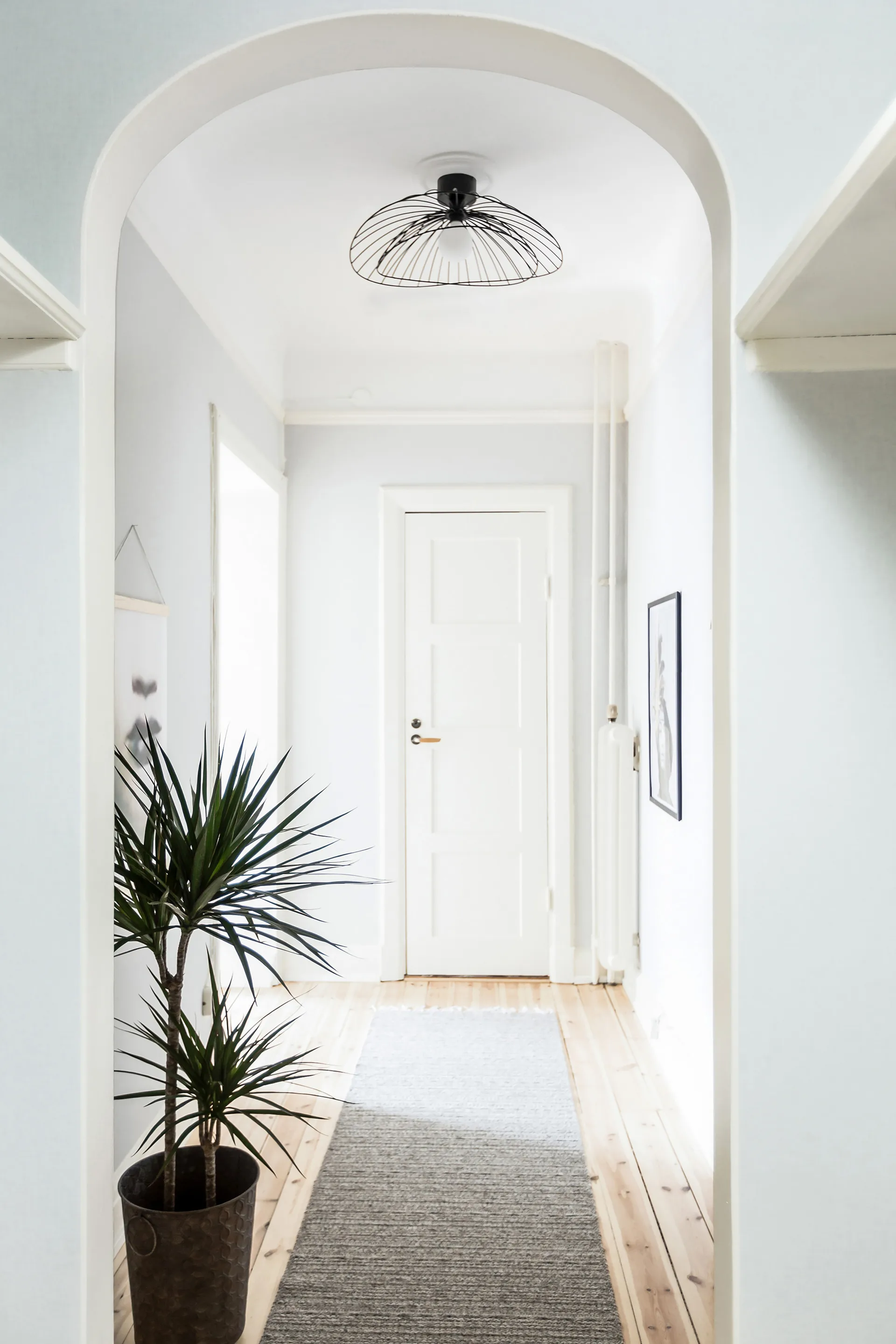 레이 벽/천장 조명 60 cm, matte black Globen Lighting | 글로벤라이팅