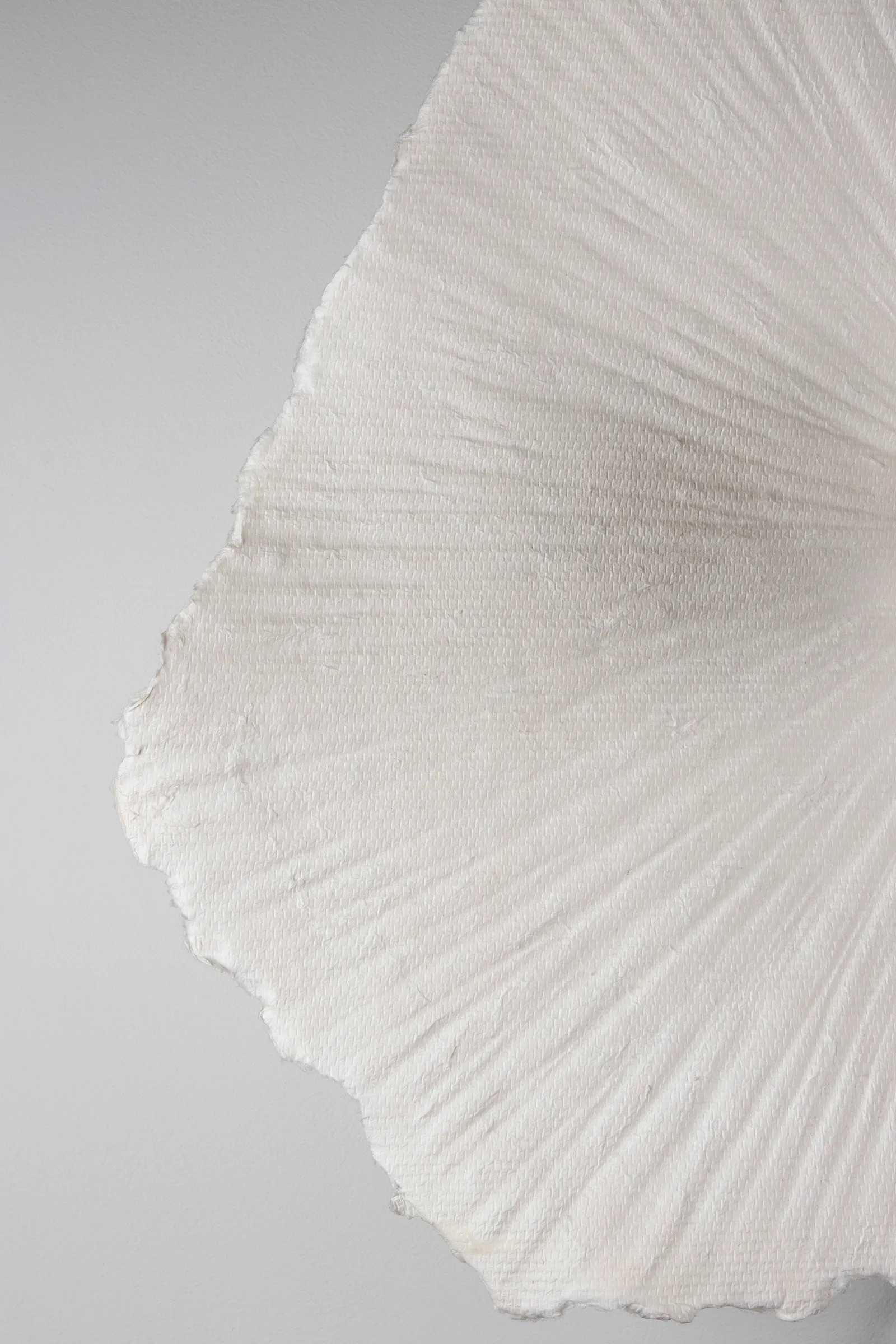 트로페즈 천장 조명/벽 조명 Ø60 cm, Nature Globen Lighting | 글로벤라이팅