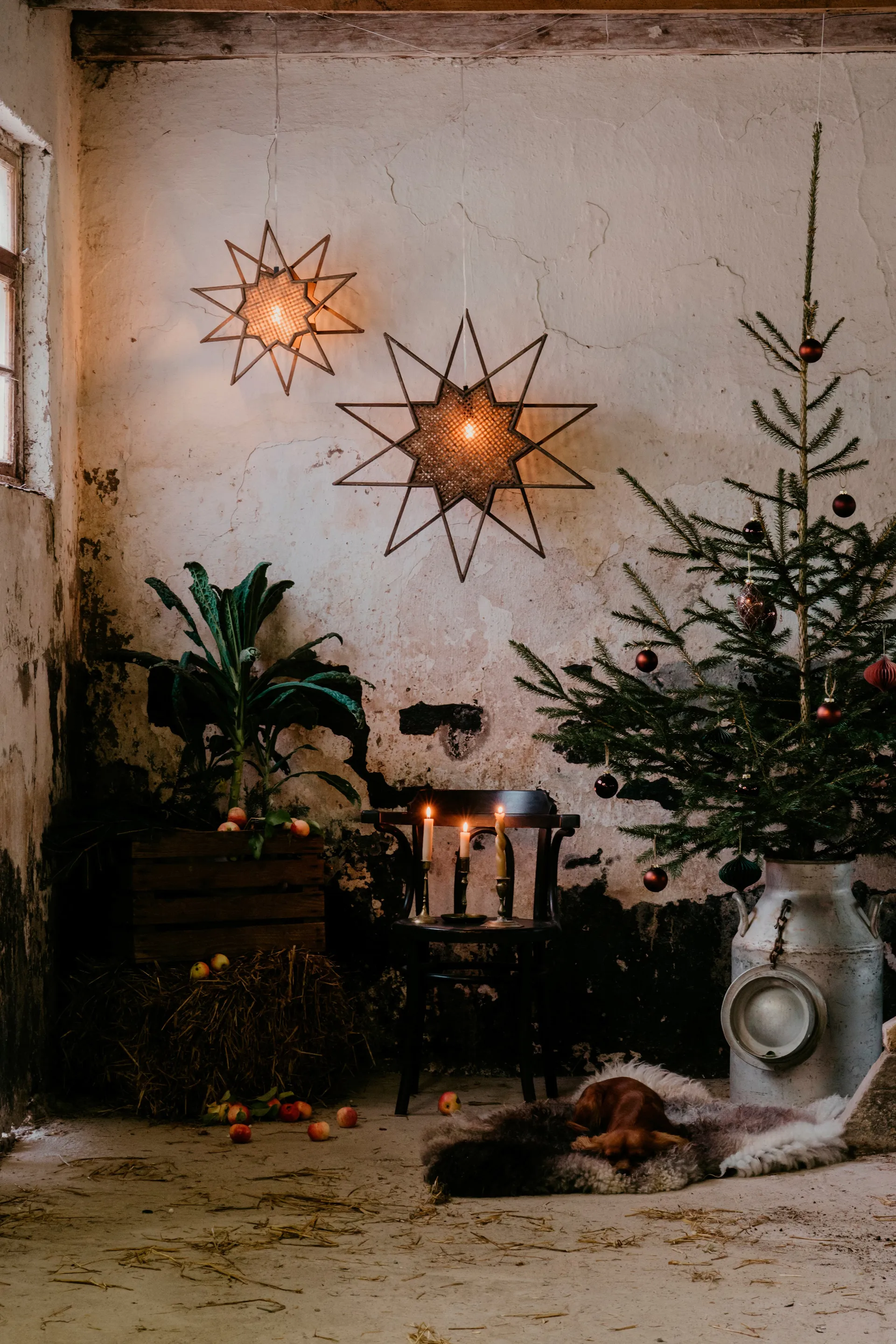 카린 대림절 별 조명 Ø70 cm, Brown Globen Lighting | 글로벤라이팅