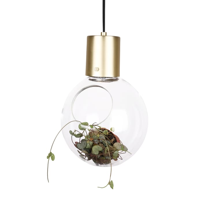 Mini Hole 펜던트 조명 - clear-brass - Globen Lighting | 글로벤라이팅