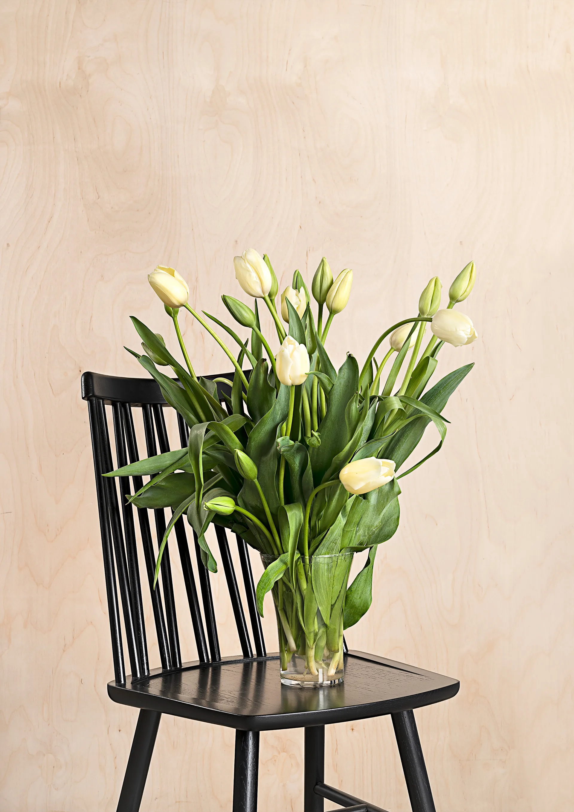 ZigZag 체어, Stained black ash Hans K | 한스 케이