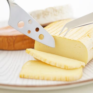 Hardanger cheese set 하덴거 치즈 세트 - stainless steel - Hardanger Bestikk | 하덴거베스틱